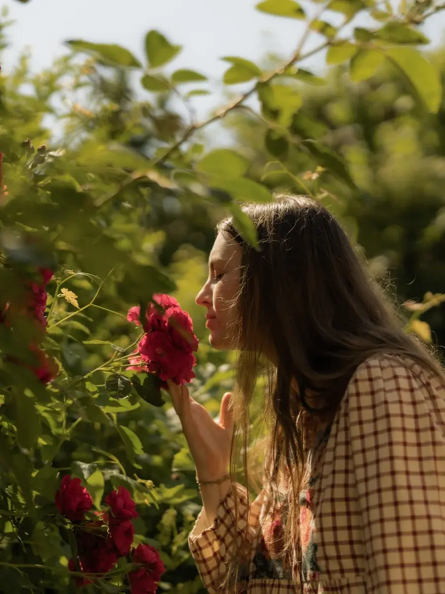 Pauline de profil parmi les roses rouges, lumière dorée de fin de journée.